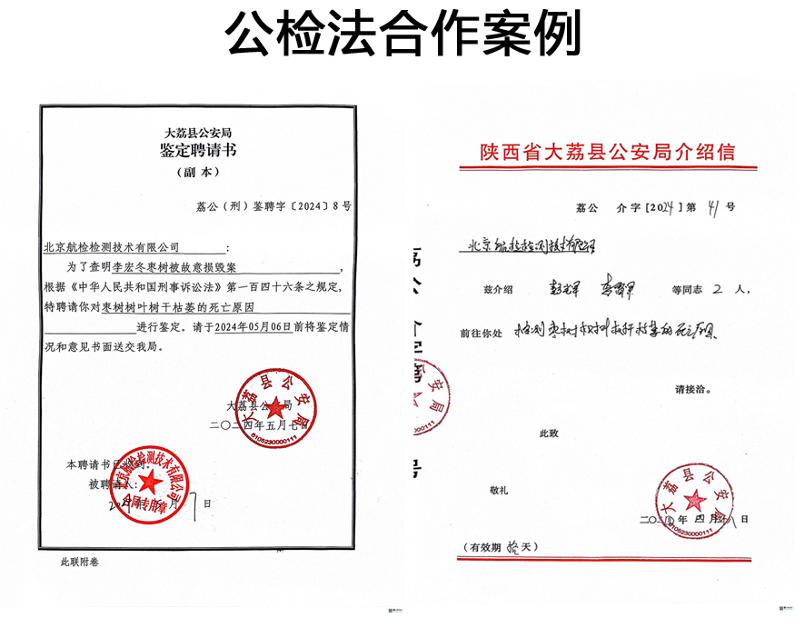 未标题-4.jpg